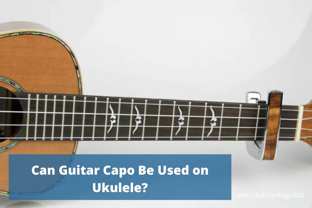 can-guitar-capo-be-used-on-ukulele